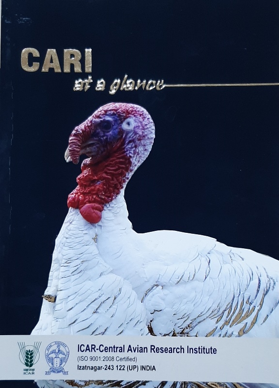 Hindi News Letter December 2017