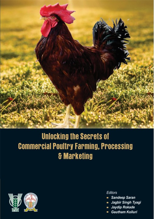 News Letter December 2019