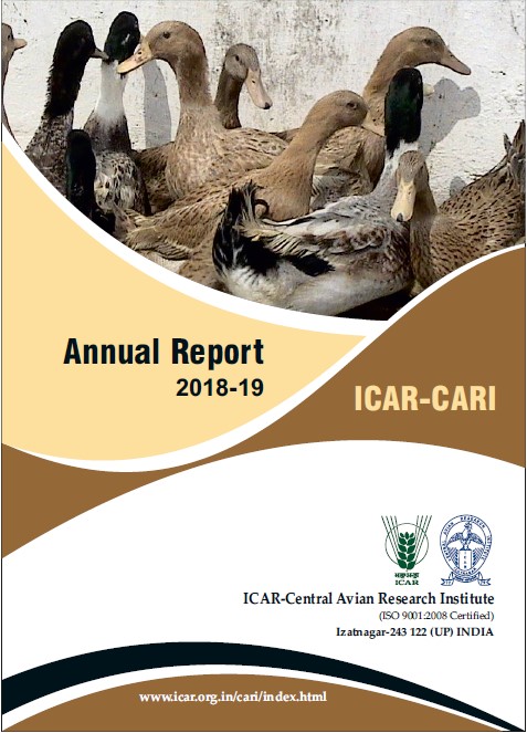 Annual Report 2018-19