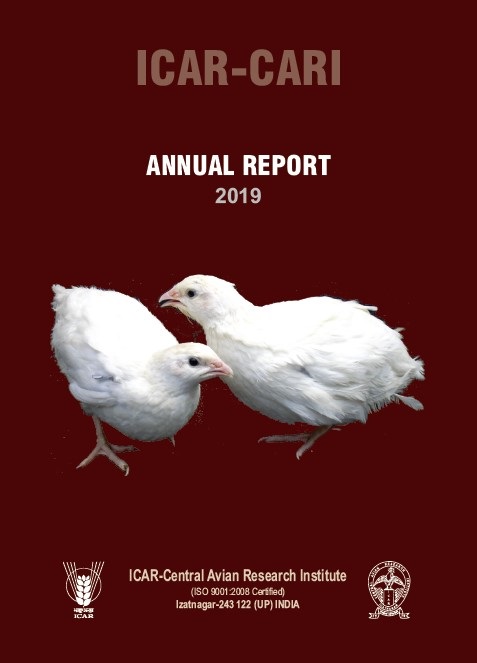 Annual Report 2019